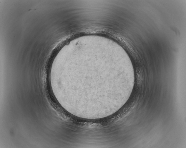 X0000111360539200908211259