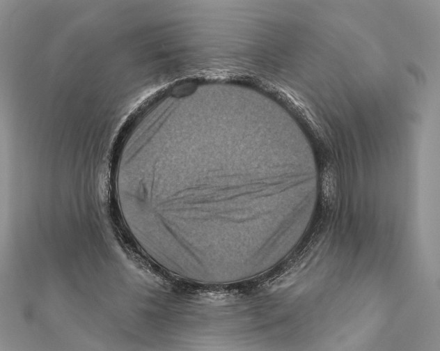 X0000111360540200908211259