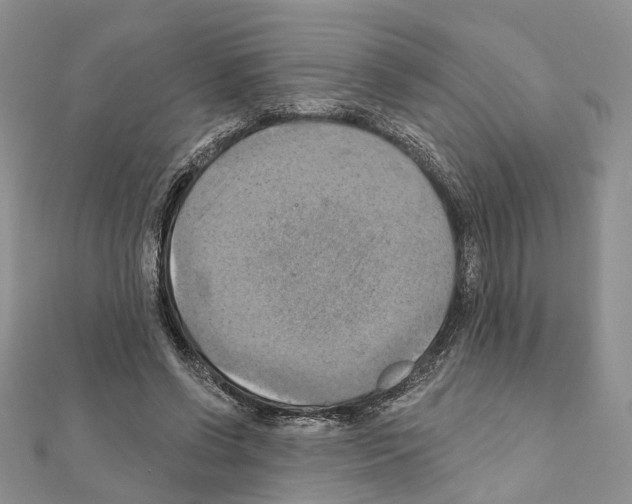 X0000111360542200908211259
