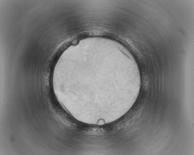 X0000111360543200908211259