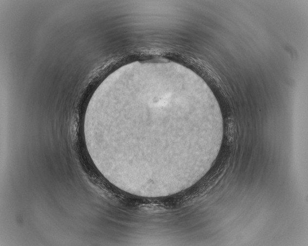 X0000111360544200908211259