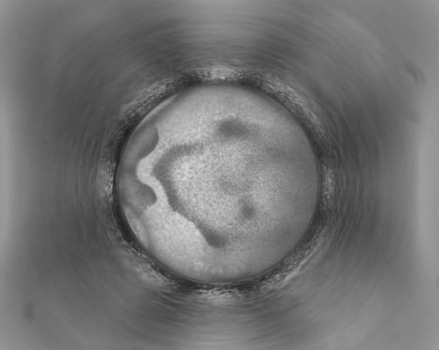 X0000111360545200908211259