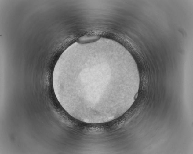 X0000111360546200908211259