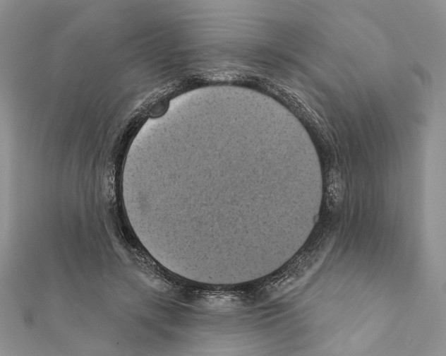 X0000111360547200908211259