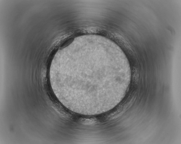X0000111360548200908211259