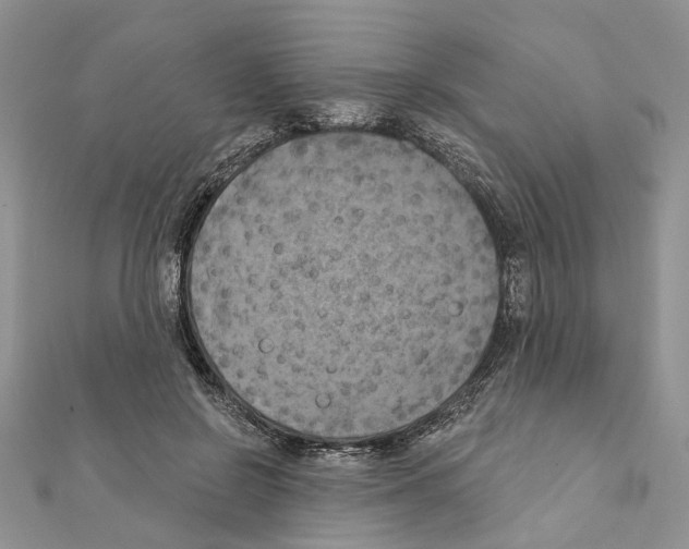 X0000111360550200908211259