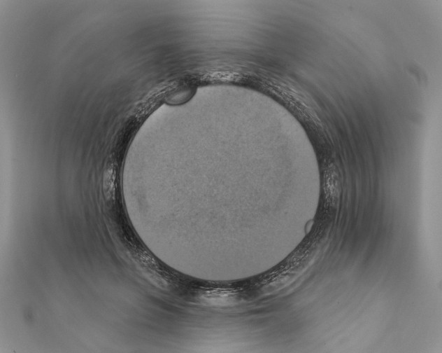 X0000111360551200908211259