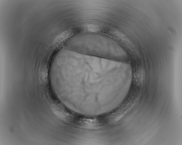 X0000111360552200908211259