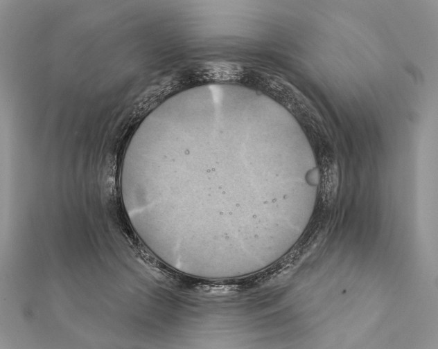 X0000111360553200908211259
