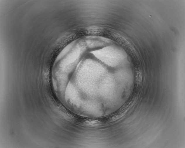 X0000111360557200908211259