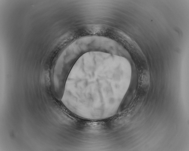 X0000111360558200908211259