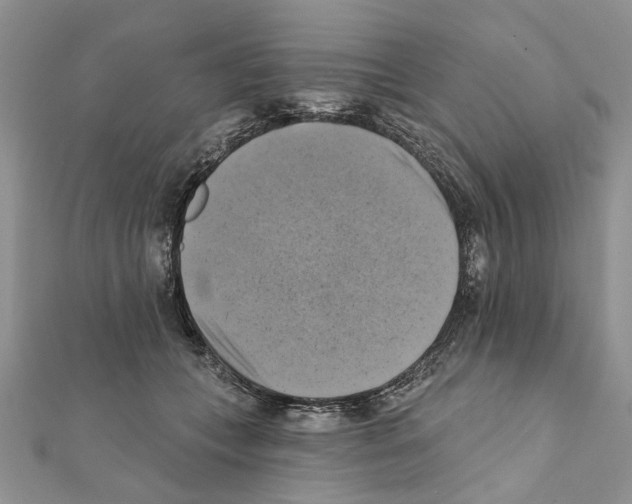 X0000111360559200908211259