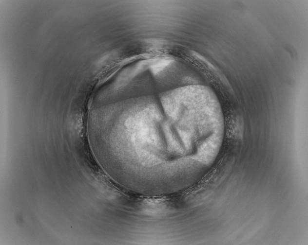X0000111360560200908211259
