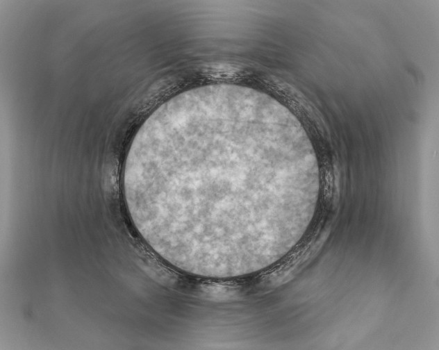 X0000111360561200908211259