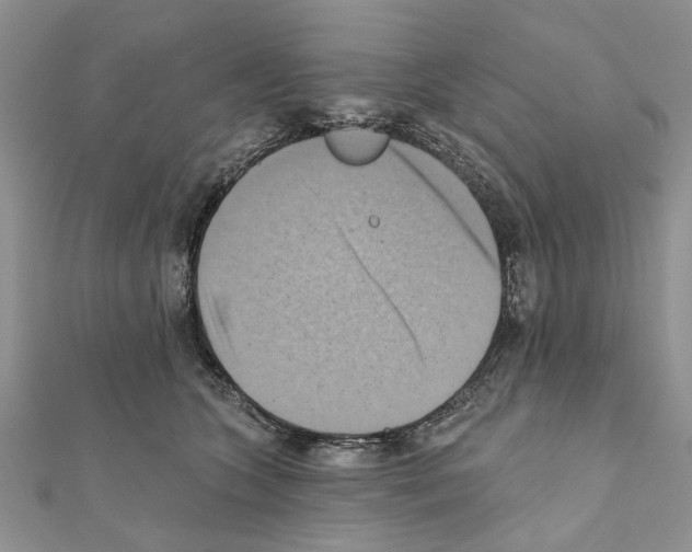 X0000111360563200908211259