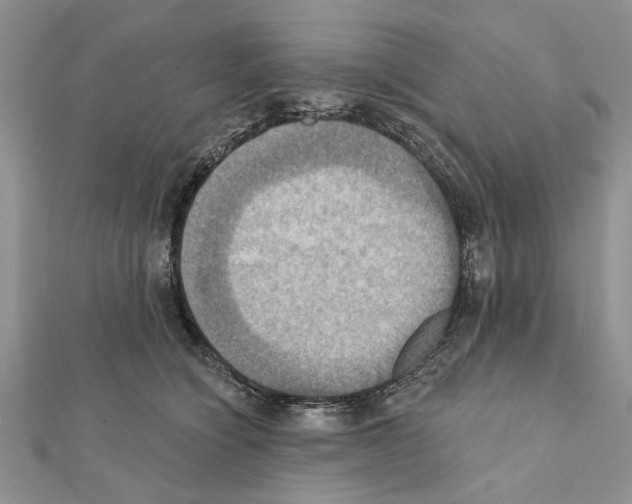 X0000111360564200908211259