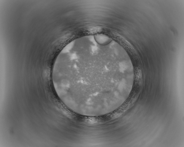X0000111360565200908211259