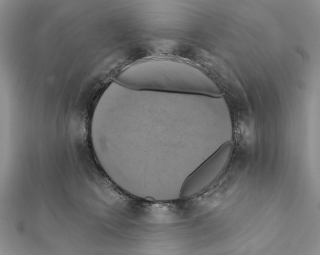 X0000111360566200908211259