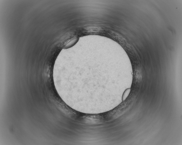 X0000111360567200908211259