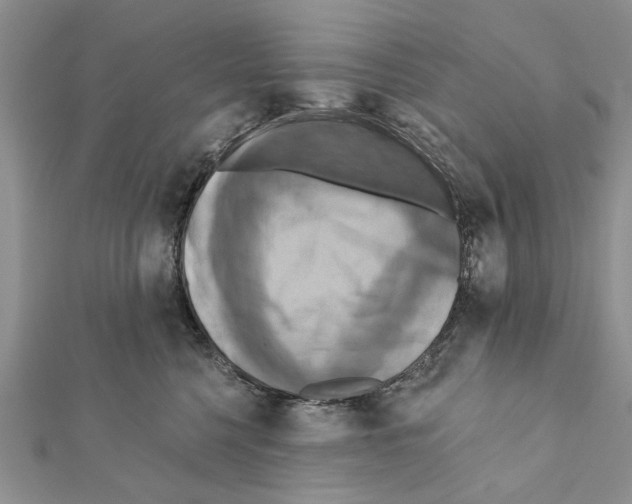 X0000111360568200908211259