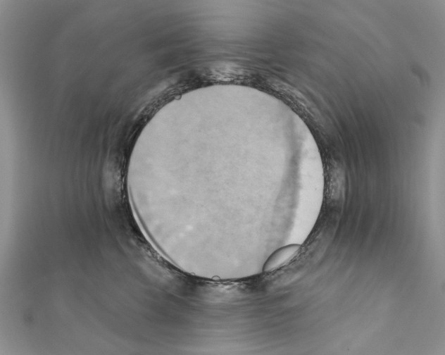 X0000111360569200908211259