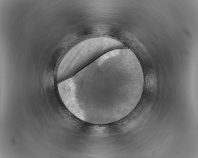X0000111360570200908211259