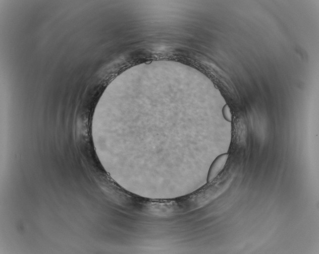 X0000111360571200908211259