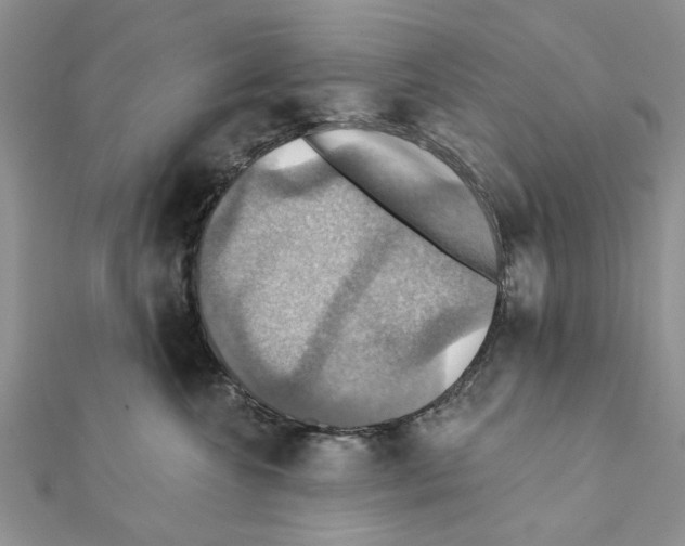 X0000111360572200908211259