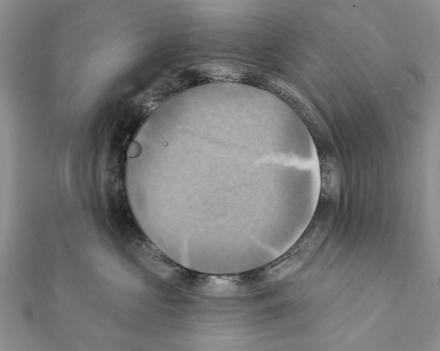 X0000111360573200908211259