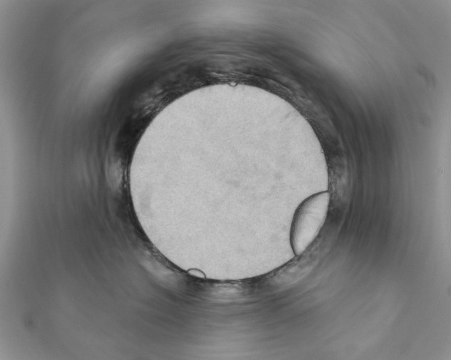 X0000111360574200908211259