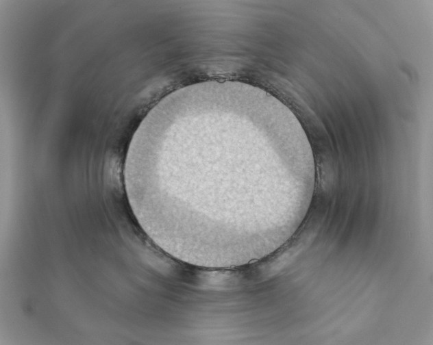 X0000111360575200908211259
