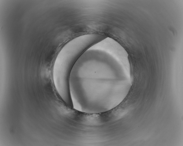 X0000111360576200908211259