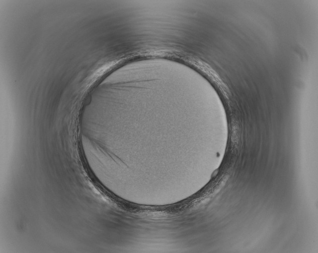 X0000111360577200908211259