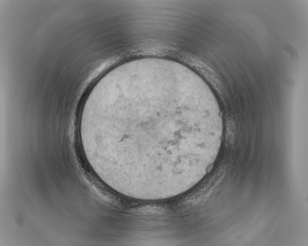 X0000111360578200908211259