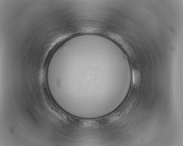 X0000111360579200908211259