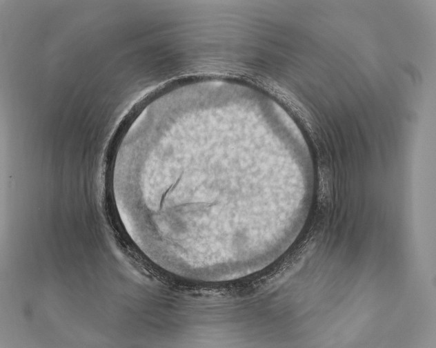 X0000111360580200908211259