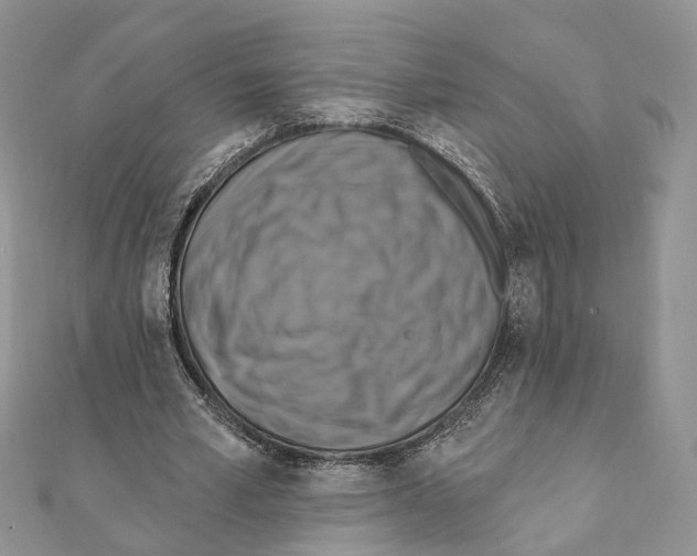 X0000111360581200908211259