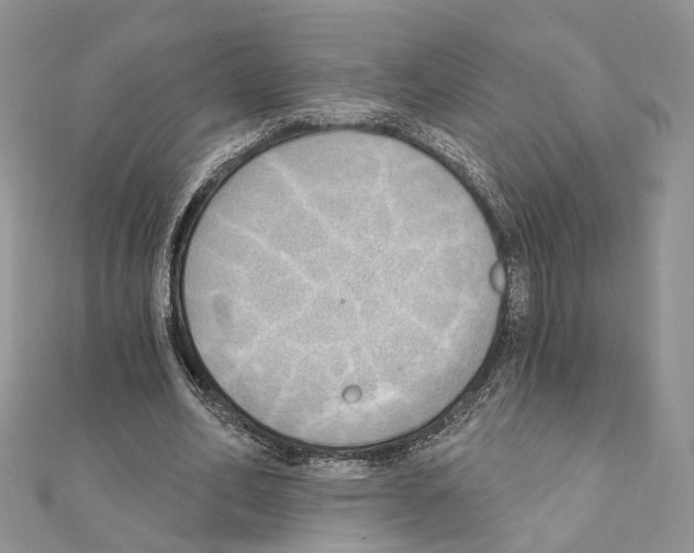 X0000111360582200908211259