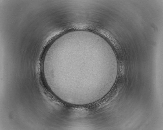 X0000111360583200908211259