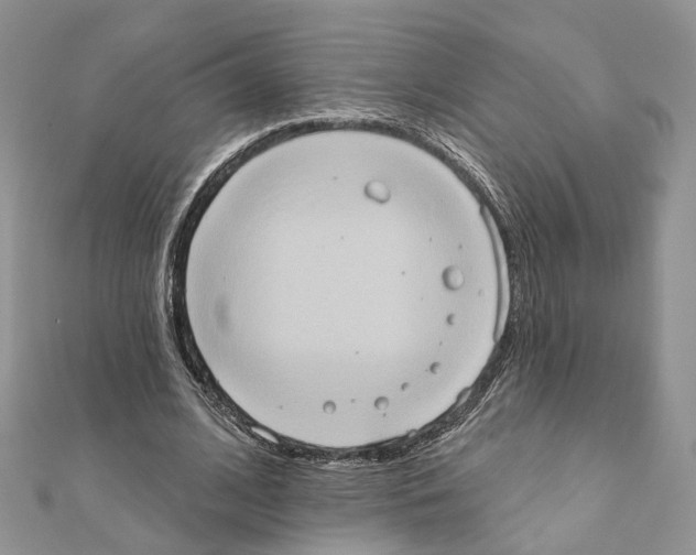 X0000111360584200908211259