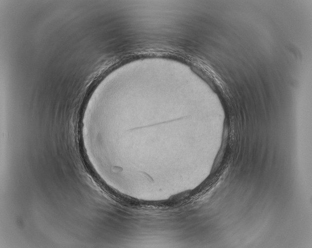 X0000111360585200908211259