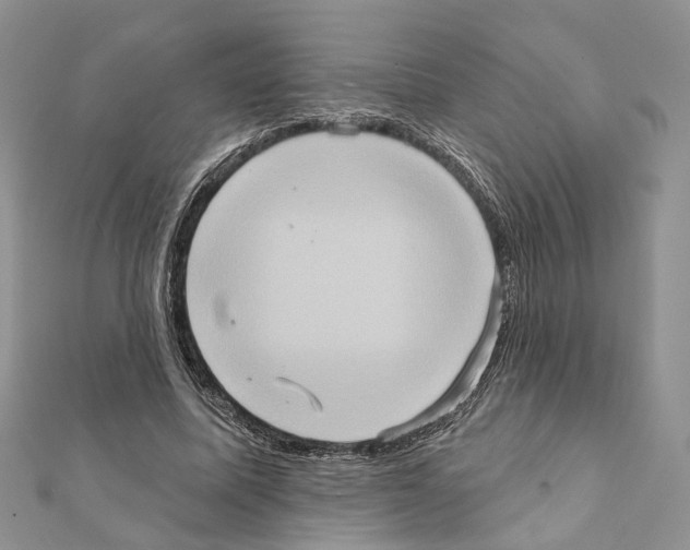 X0000111360587200908211259