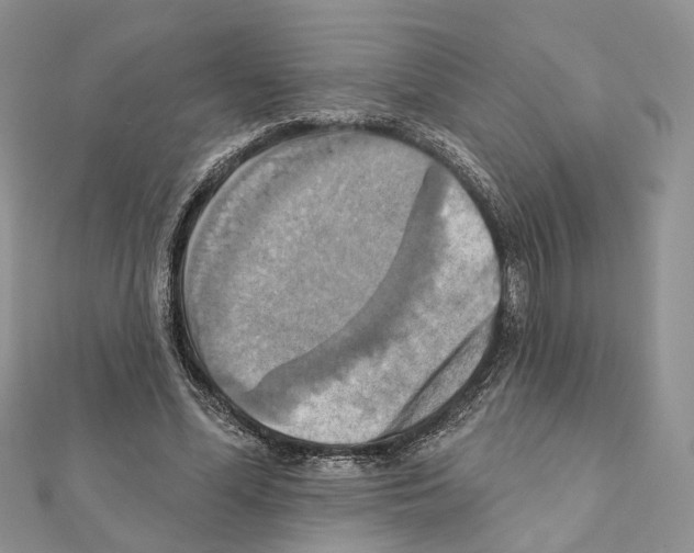 X0000111360588200908211259