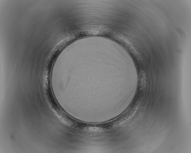 X0000111360590200908211259