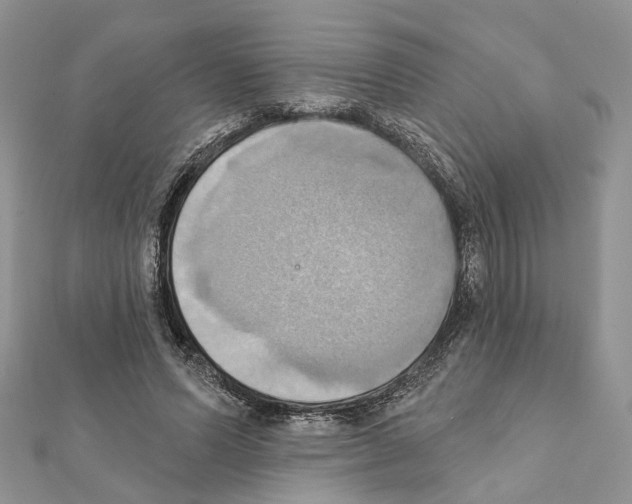 X0000111360591200908211259