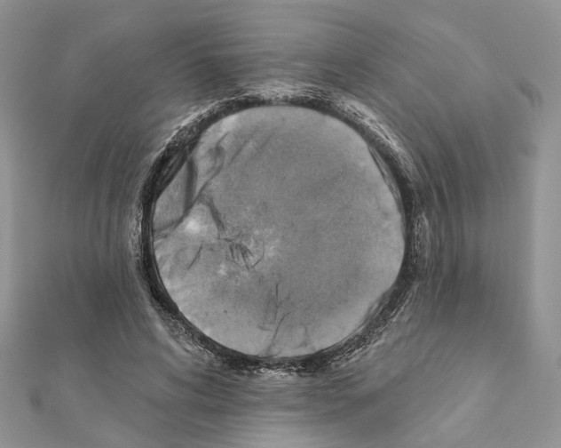 X0000111360592200908211259