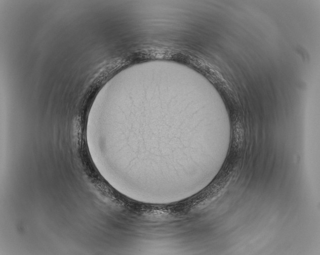 X0000111360594200908211258