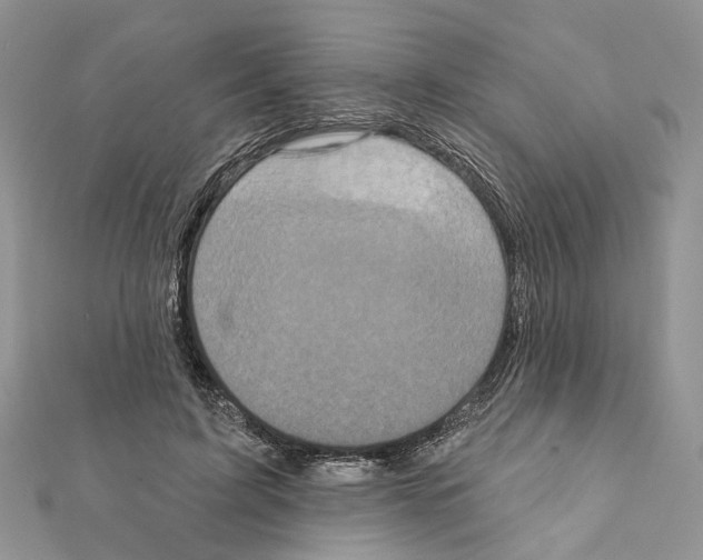 X0000111360595200908211258
