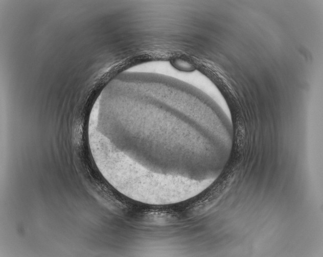 X0000111360596200908211258