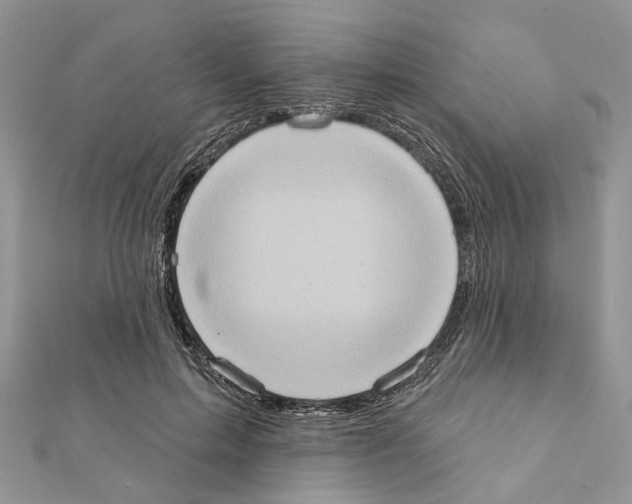 X0000111360599200908211258